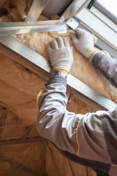 Best Insulation Installation Services in Old River Winfree, TX